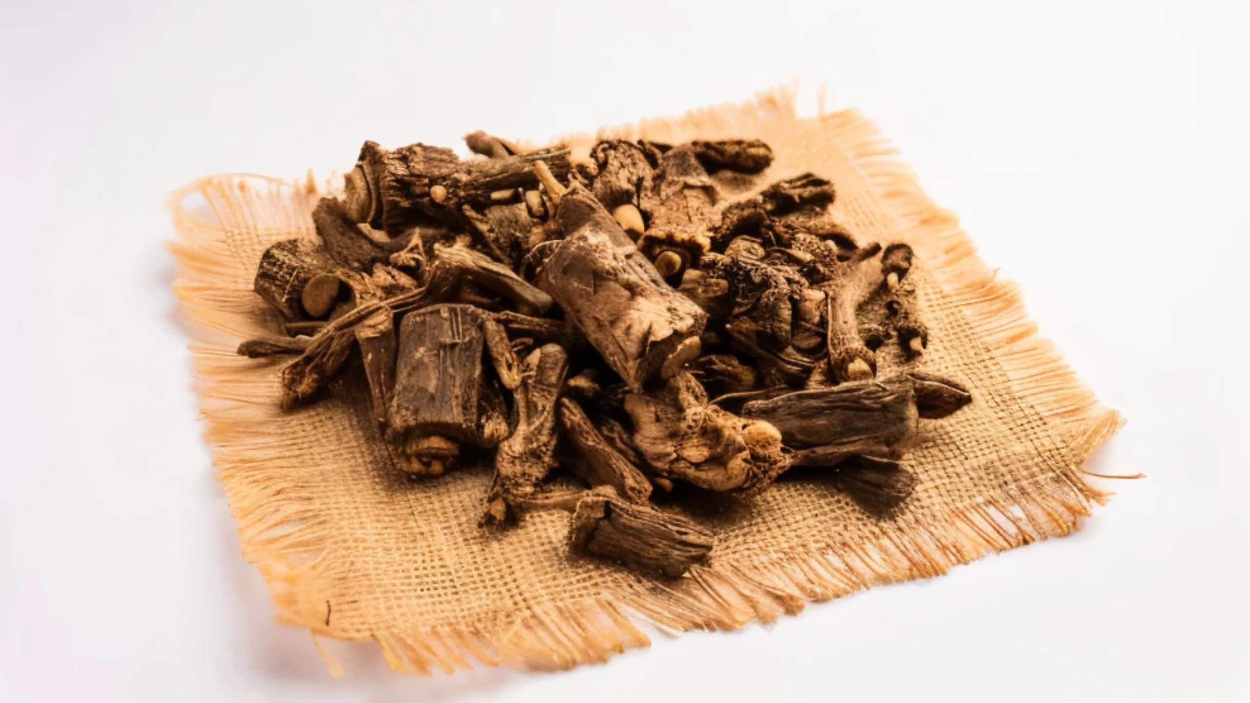Lodhra (Symplocos racemosa) in PCOS and menstrual irregularities